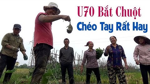 Sư Phụ U70 Bắt Chuột Đồng Chéo Tay Rất Hay