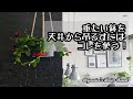 【DIY】重たいハンギングポットを天井から吊るす！使ったフックとその設置