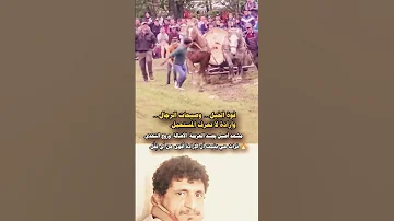 قوة الخيل وإرادة لا تنكسر لايك اشتراك بالقناه ليصلك كل جديد 