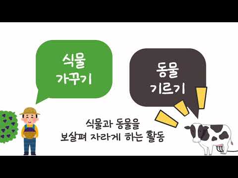 [초등] 식물 가꾸기와 동물 기르기 | 생명 기술 시스템