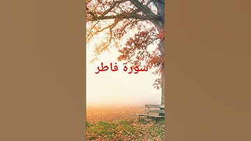 القرآن الكريم #المصحف #اكسبلور #تلاوات_رائعة #لايك #