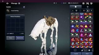 12-13-2025 Dream Horse Arduanatt - Lvl 9 Mount Unbox And Test Deadeye