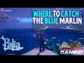 When, Where &amp; How to Catch the Blue Marlin in Palia | 1 Min Guide