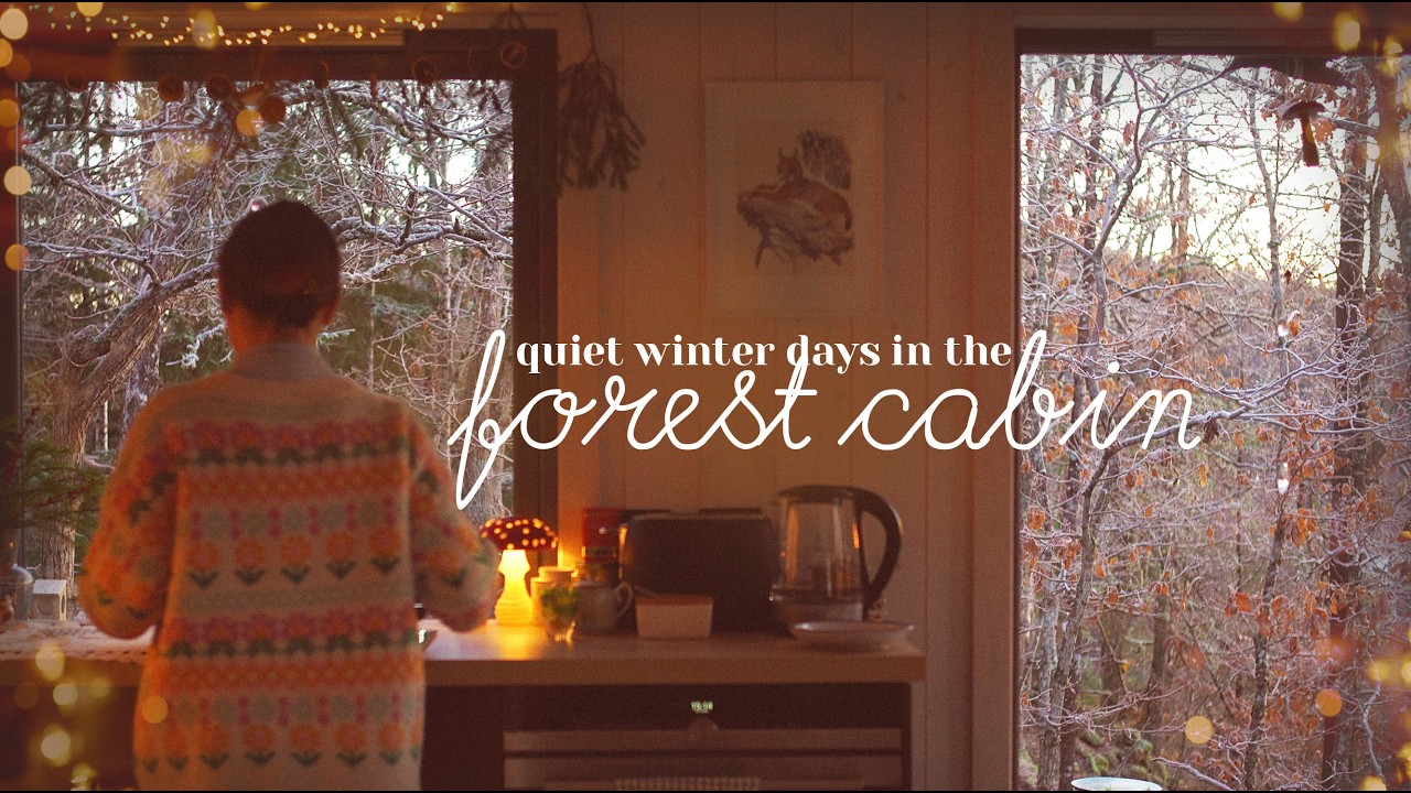 My Quiet Winter at the Forest Cabin in the North