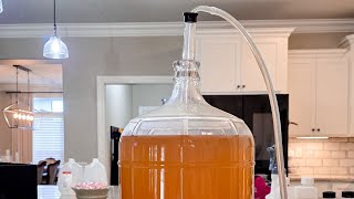 Making Wine at Home Just Got WAY Easier 🍷 | Auto Siphon Must-Have