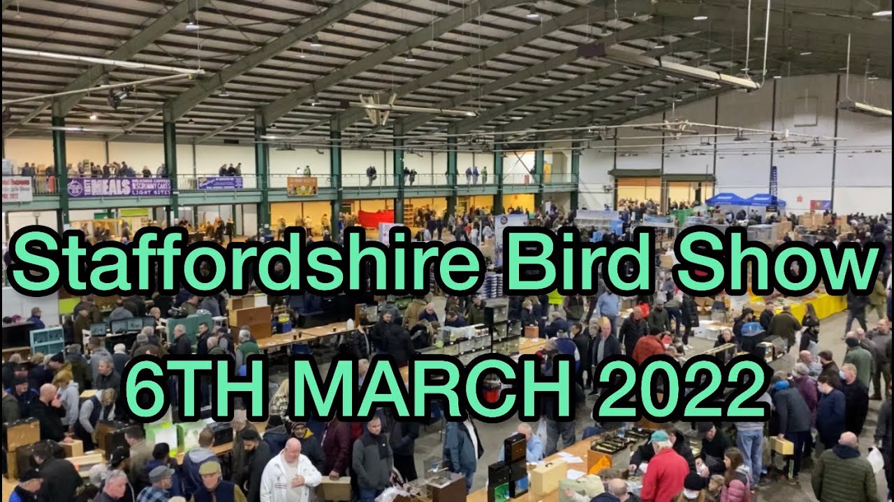 Staffordshire Bird Show 6th March 2022