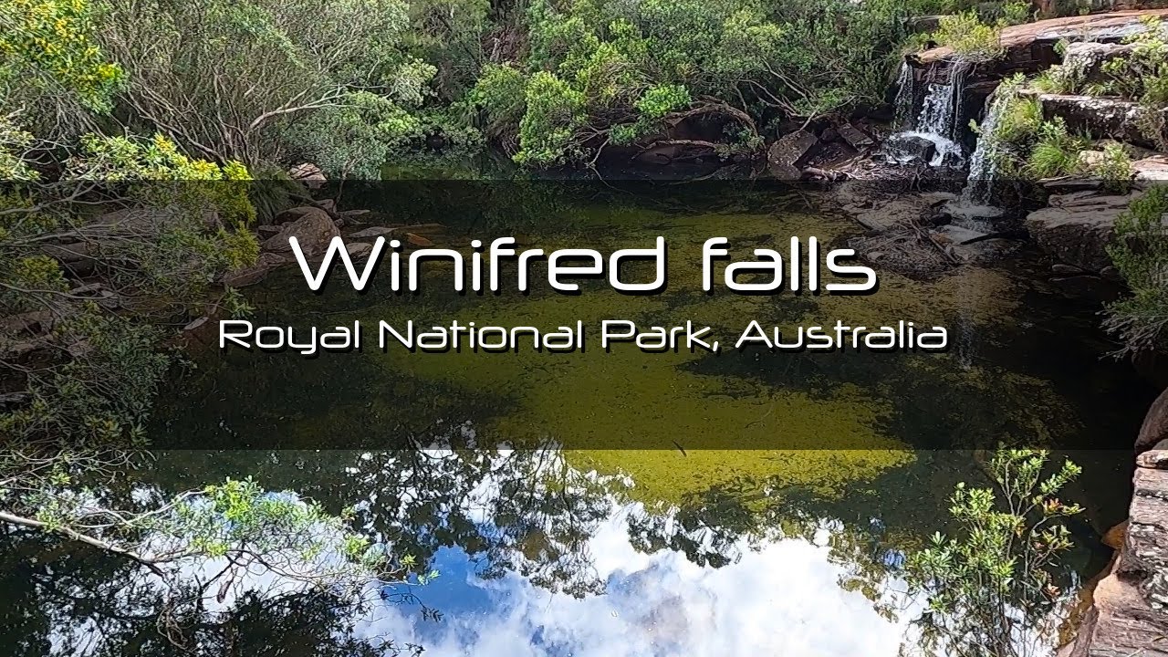 Day Hike, Winifred Falls, Royal National Park, NSW, Australia YouTube