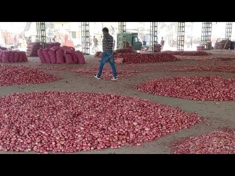 प्याज मंडी Live आवक नीमच मंडी pyaj bhavantar bhugtan yojana