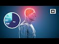 Human Brain Storyline Video