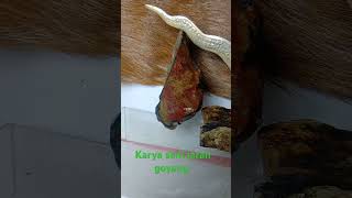 Download Lagu weton Jumat Kliwon dan kesakralannya MP3