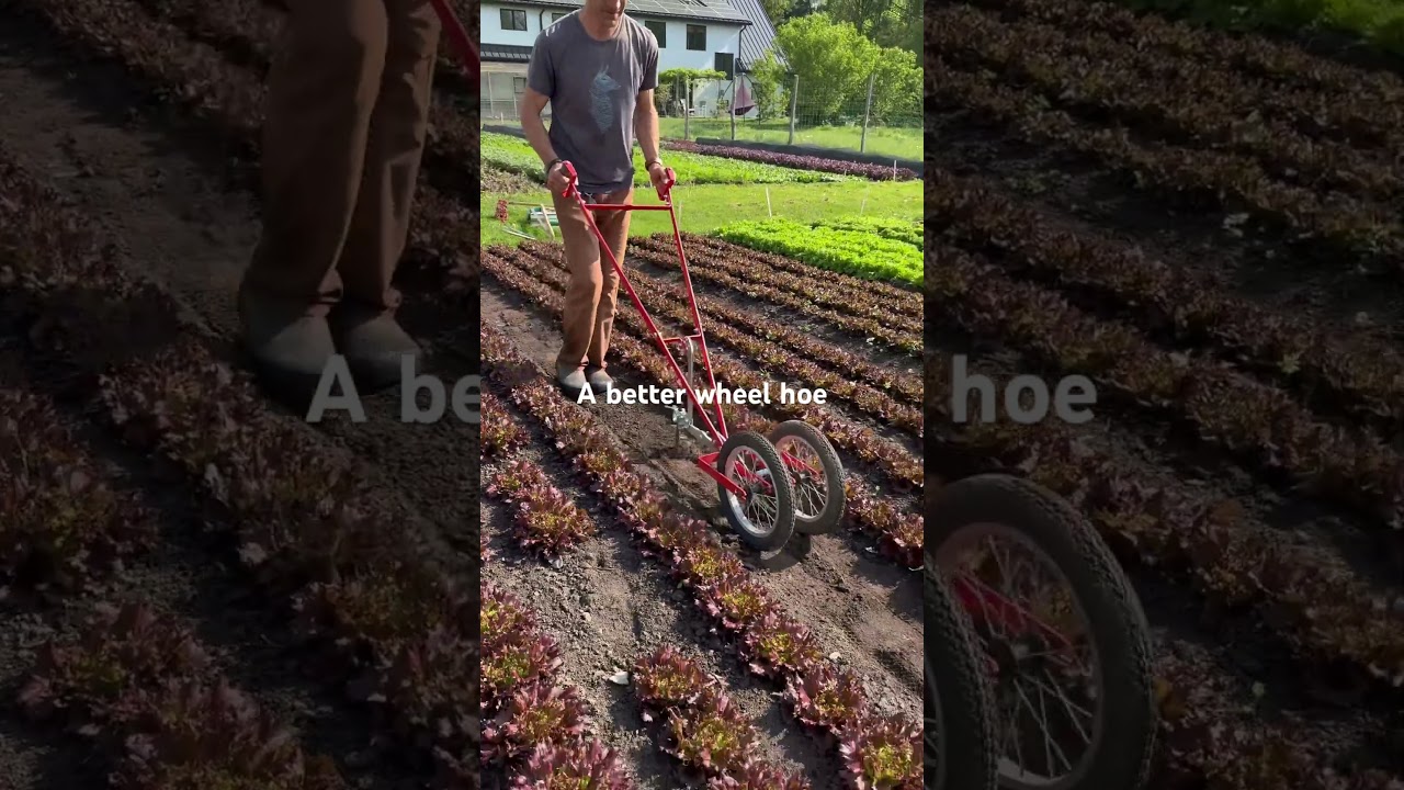 My favorite wheel hoe: Terrateck double wheel hoe with Planet Jr. attachment. 