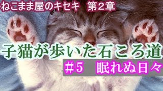 【子猫が歩いた石ころ道　＃5】眠れぬ日々