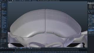 Making a beetle in blender