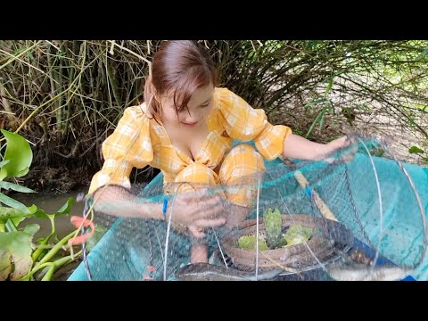 Video Trúc Phương Đặt Bẫy Khu Nhà Hoang Bắt Cá Không Ngờ... - youtube
