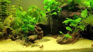 Download Lagu 3. April 2023 MP3