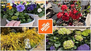 Home Depot Inventory March 2024 New Arrivals at the Garden Center! Trees, Shrubs, & Perennials