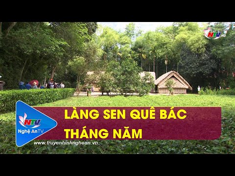 Video LÀNG SEN QUÊ BÁC THÁNG NĂM - youtube
