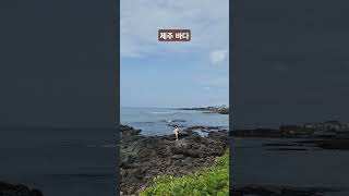 #제주바다 #오션뷰 #런던베이글뮤지엄 #jeju #ocean #쇼츠 #shorts