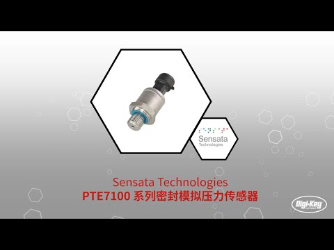 PTE7100 系列密封模拟压力传感器 | Datasheet Preview