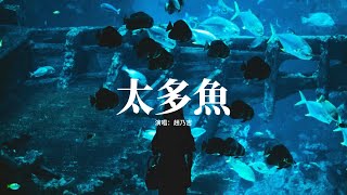 趙乃吉 - 太多魚『他的世界游著太多魚，你的存在顯得太多餘，你能感受他每個情緒，他卻看不見你哭泣。』【動態歌詞MV】
