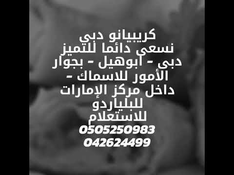 كريبيانو دبي ابوهيل خلف الممزر سنتر بجوار الامور للاسماك داخل مركز الامارات للبلياردو