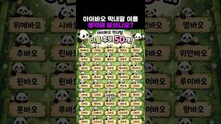 아이바오 막내딸 이름#아이바오