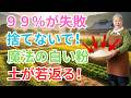 【 99%の家庭菜園が知らない 】今すぐ捨てないで!台所の「あの白い粉」で枯れかけの土が焼きたてパンのように若返る衝撃の真実