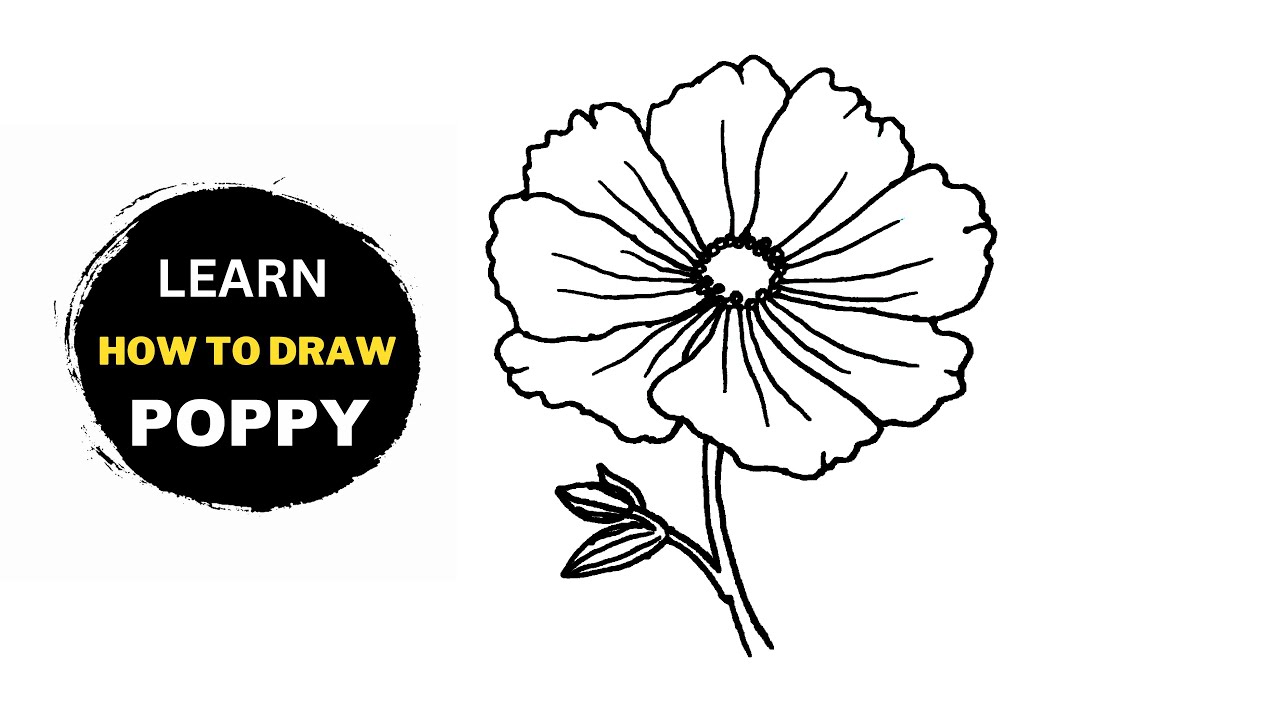 How To Draw A Poppy (flower) / Poppy Red Flower Drawing YouTube