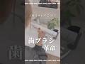 【なにコレすご!】歯ブラシ革命#shorts