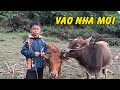 TẬP 13 - VÀO NHÀ MỚI - XÂY NHÀ GIÚP BÀ CỤ VÀ BÉ THÂN - ĐBQT