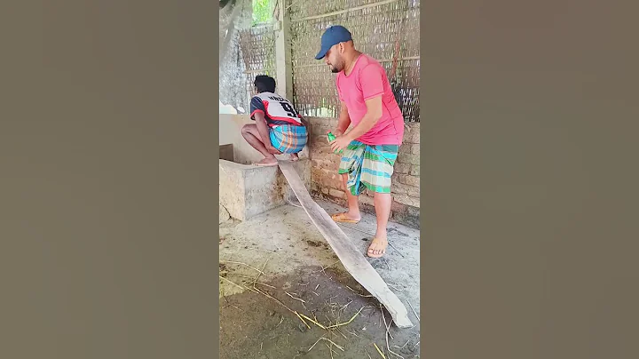 #comedy #funnymemes #funny #colonelkkjϟ #funnypictures #entertainment #funnyimages #funnyphotos