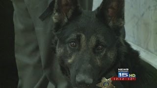 Five K-9's graduate after training program