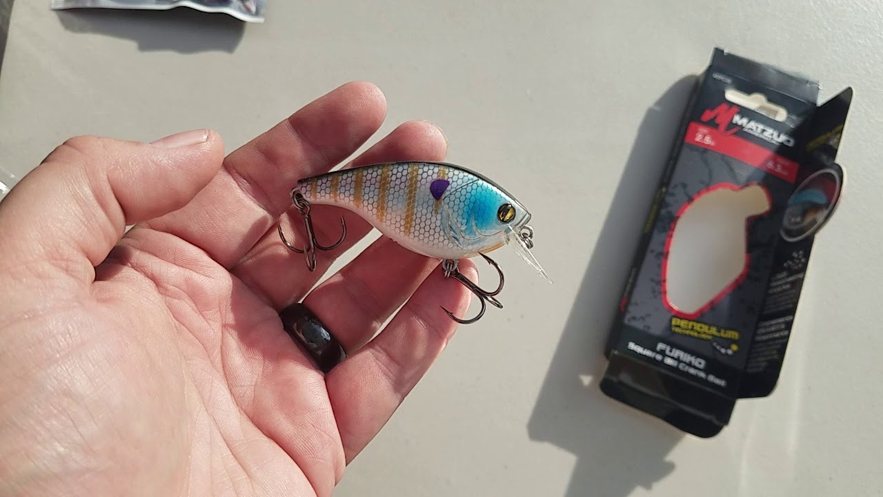 Warriors Tackle Supply October 2018 vs LTB XL