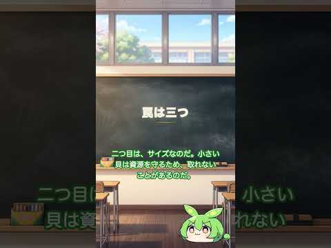 潮干狩りで密漁扱い？GW明けに確認したい3つの落とし穴と海のルール