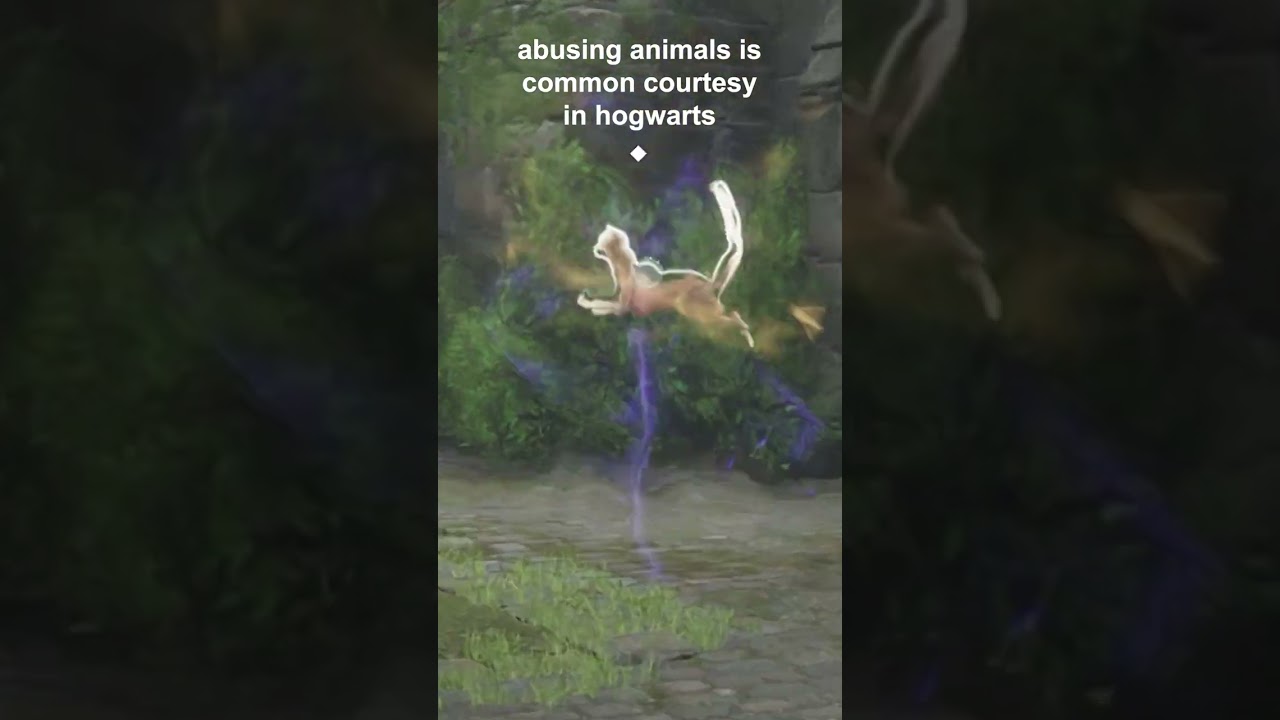 Abusing Animals in Hogwarts Legacy! 🙀