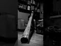 Minute of Pure Didgeridoo Vibrations #Didgeridoo #WorldMusic #AmbientVibes #SoundHealing