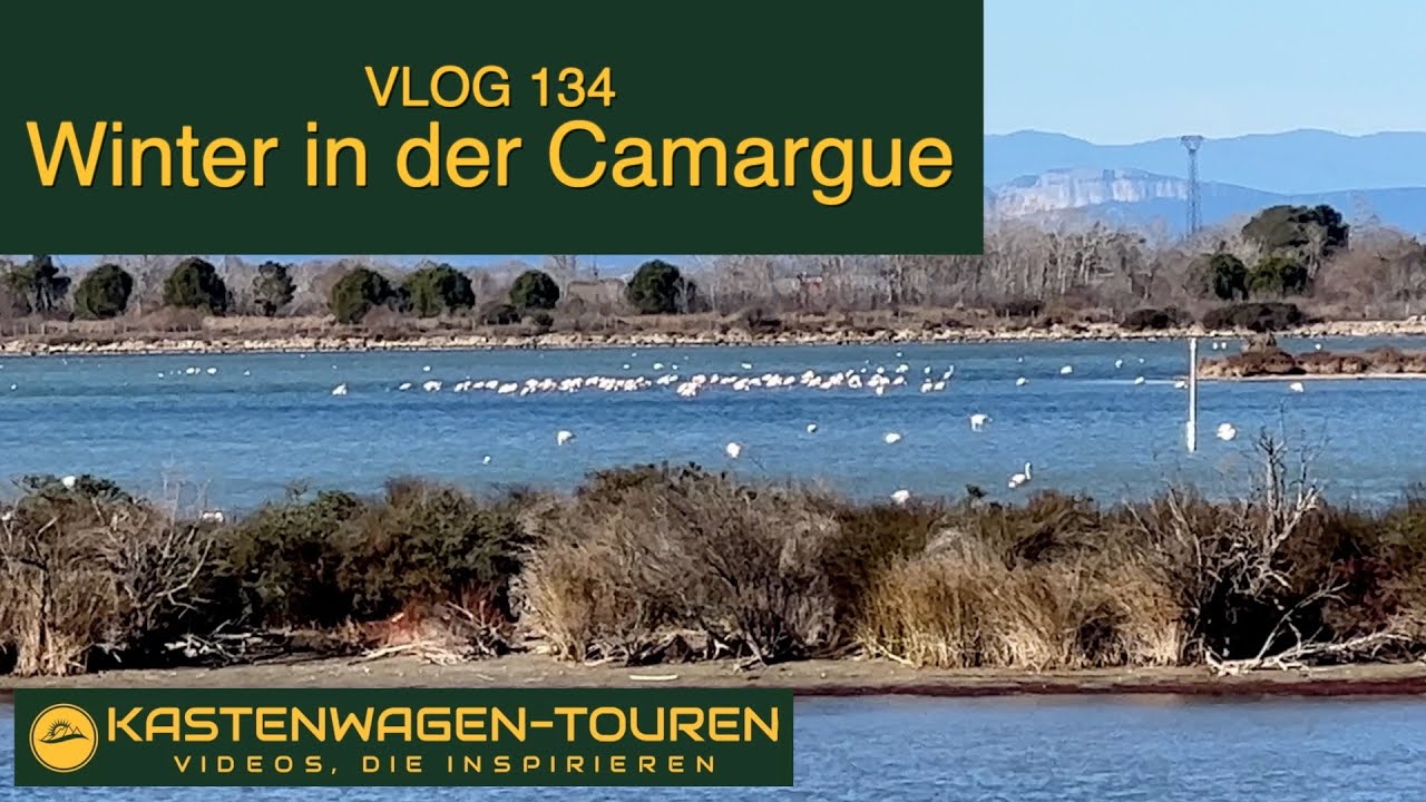 VLOG 134 Winter in der Camargue
