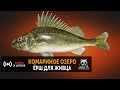 Русская Рыбалка 4 — Ёрш на озере Комарином