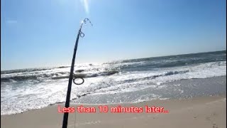 INSANE Surf Fishing - 2 Big Fish Back To Back! Ocean City MD & Assateague Island #ocmd #fishing