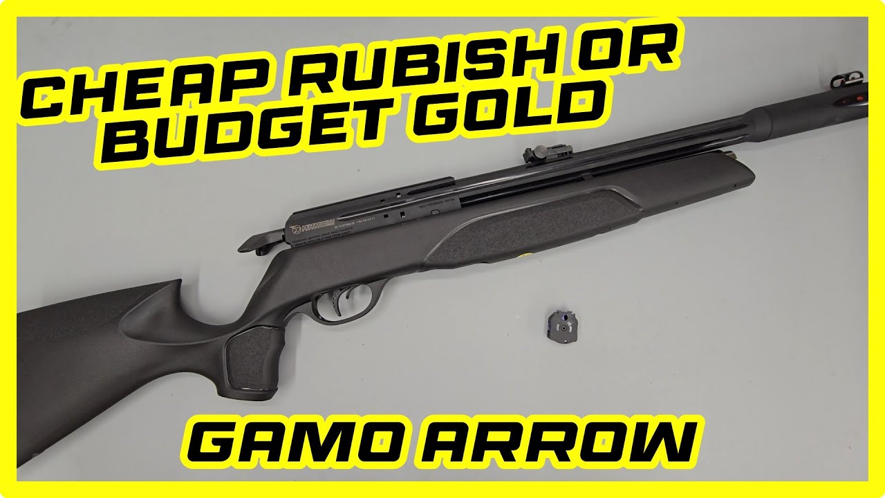 Budget PCP Sub 12 Gamo arrow review