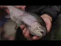 Welcome To Our 1930's Appalachia Trout Hatchery