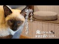 【DIY】シャム猫とキャットベンチ制作！主人のジャマをする猫