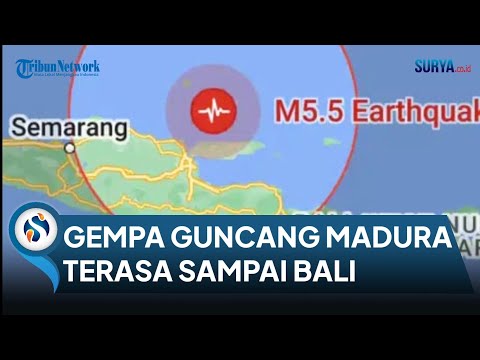 BREAKING NEWS! Gempa Bumi 5,5 SR Guncang Timur Laut Madura Terasa Sampai Bali