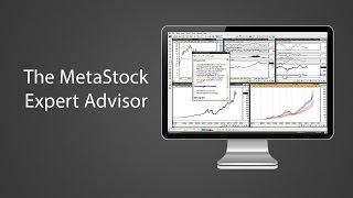 The Metastock Expert Advisor