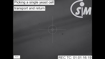 Single Cell Picking and Deposition