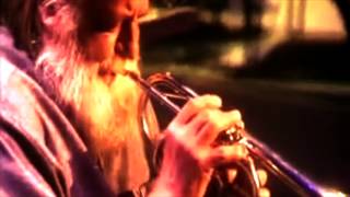 Watch Robert Wyatt Cancion De Julieta video