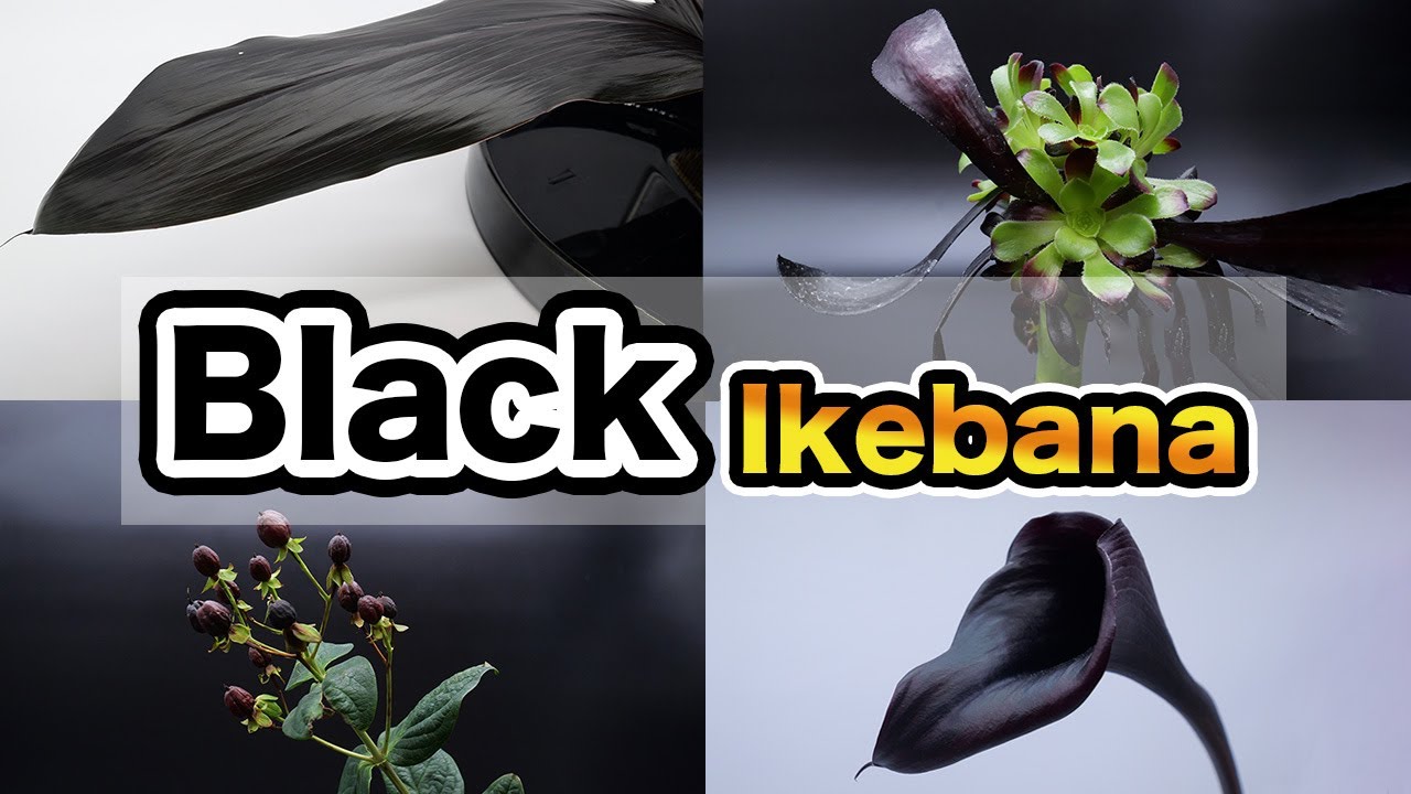 Ikebana Lesson Arranging Black Themed Ikebana YouTube
