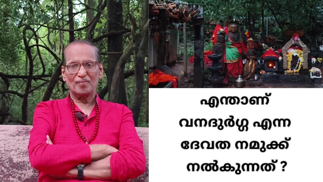 മൂകാംബികയിലെ വനദുർഗ്ഗ | Dhanyamee Jeevitham | Episode 857 | P R Nathan