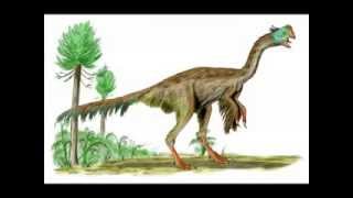 Greatest Misconception 1  Birds evolved from Dinosaurs