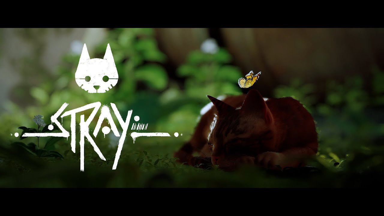 #1 吾輩は猫である【Stray】